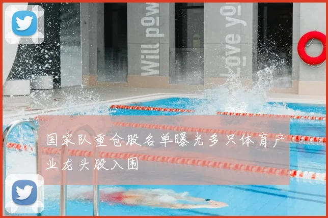 国家队重仓股名单曝光多只体育产业龙头股入围