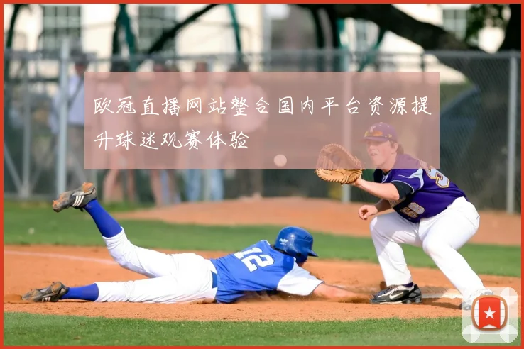 欧冠直播网站整合国内平台资源提升球迷观赛体验