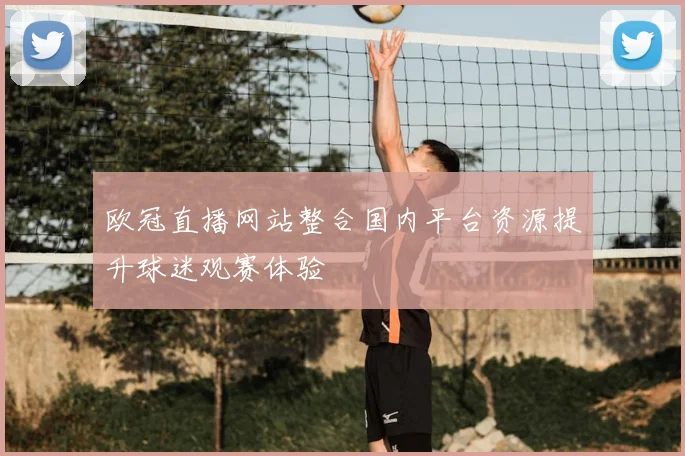 欧冠直播网站整合国内平台资源提升球迷观赛体验
