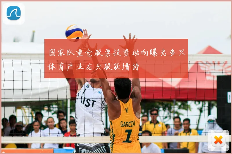 国家队重仓股票投资动向曝光多只体育产业龙头股获增持