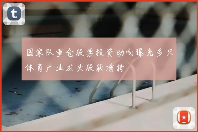 国家队重仓股票投资动向曝光多只体育产业龙头股获增持