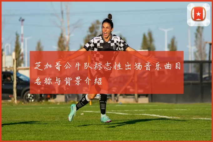 芝加哥公牛队标志性出场音乐曲目名称与背景介绍