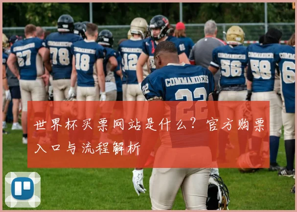 世界杯买票网站是什么？官方购票入口与流程解析