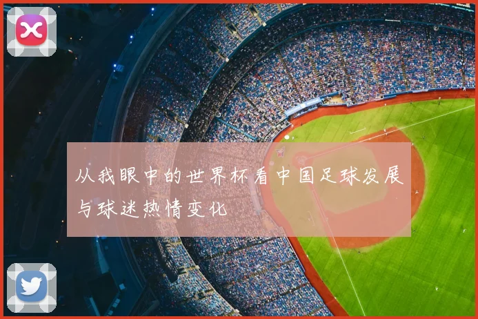 从我眼中的世界杯看中国足球发展与球迷热情变化