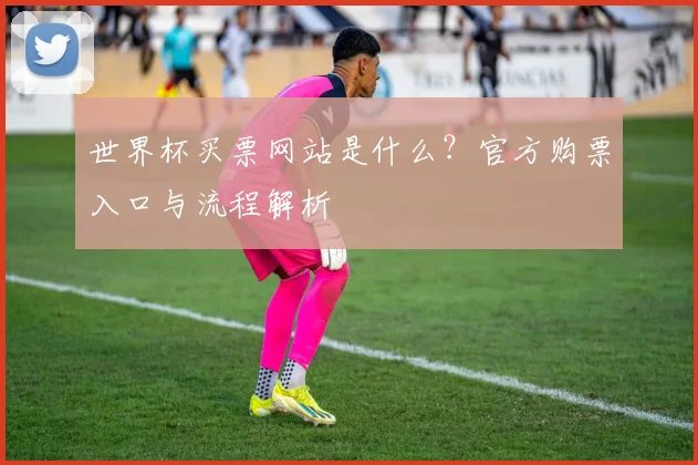 世界杯买票网站是什么？官方购票入口与流程解析