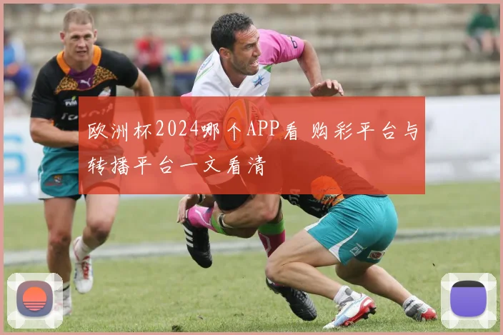 欧洲杯2024哪个APP看 购彩平台与转播平台一文看清