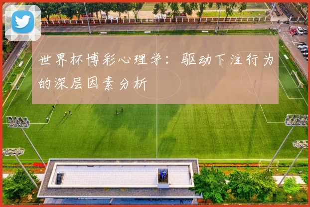 世界杯博彩心理学：驱动下注行为的深层因素分析
