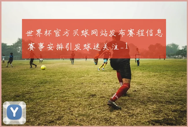 世界杯官方买球网站发布赛程信息 赛事安排引发球迷关注_1